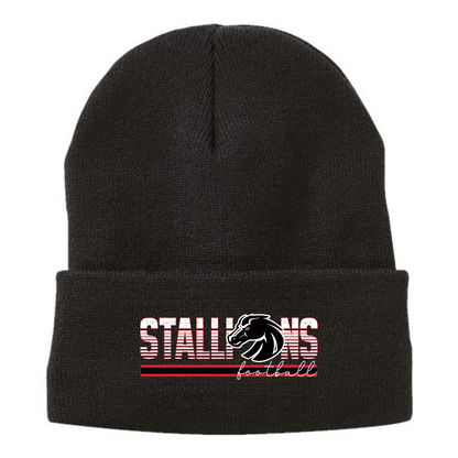 Sherpa Lined Beanie *SELECT LOCAL PICKUP AT CHECKOUT. ALL ORDERS WILL BE PICKED UP AND DISTRIBUTED BY HALEY MCMAHON.*
