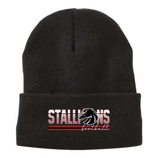 Sherpa Lined Beanie *SELECT LOCAL PICKUP AT CHECKOUT. ALL ORDERS WILL BE PICKED UP AND DISTRIBUTED BY HALEY MCMAHON.*