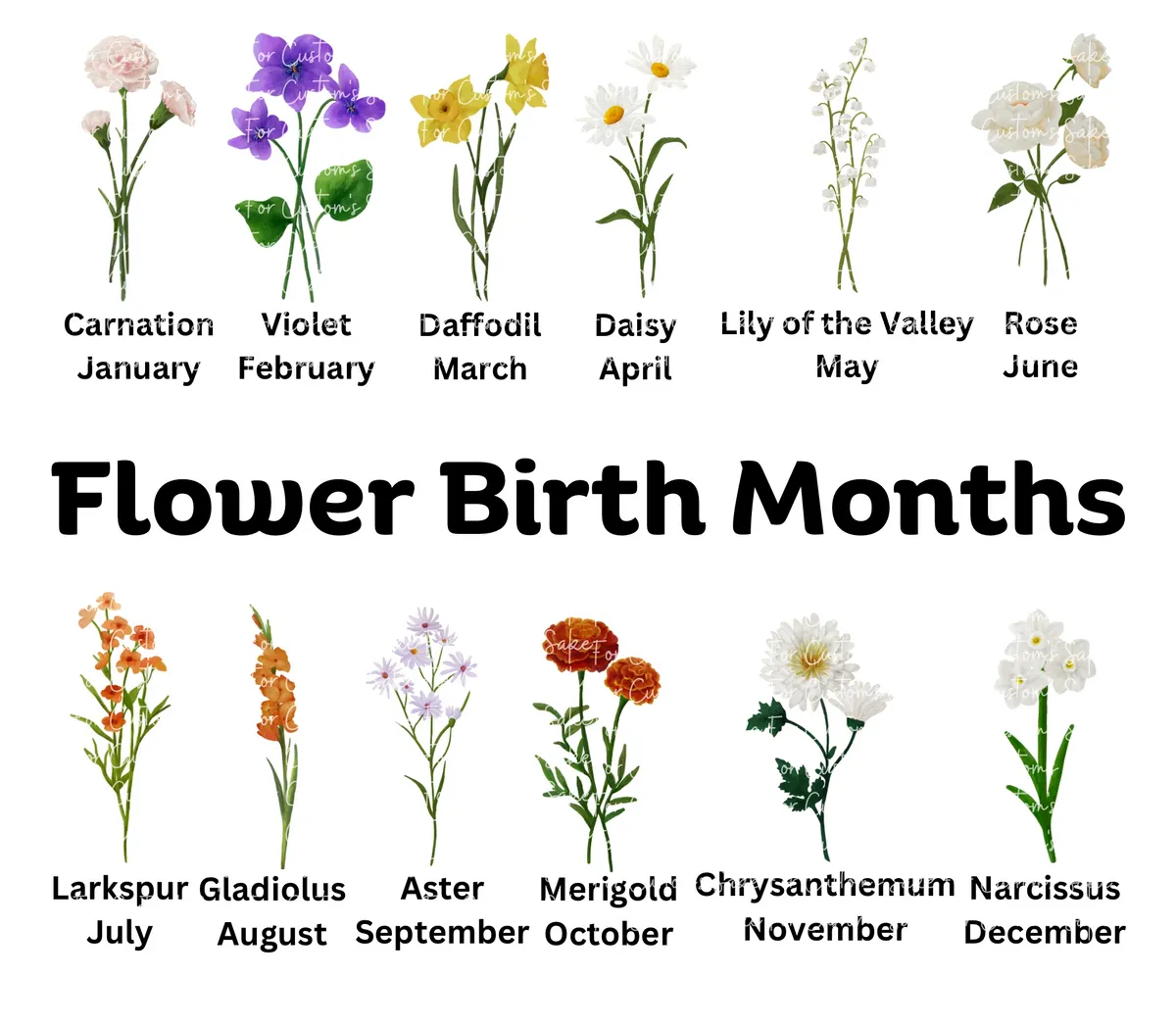 Flower Birth Months