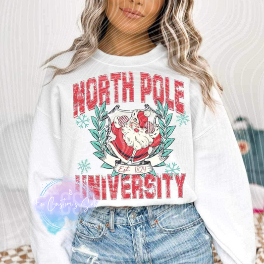 North Pole University